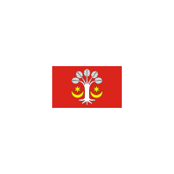 Bukowiec Flaga Bukowca